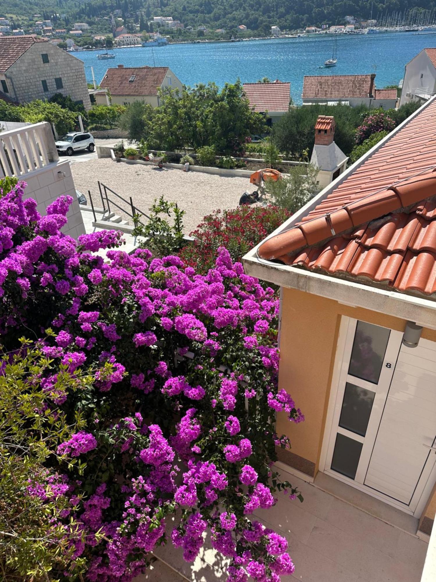 Apartments Villa Eva 斯拉诺 外观 照片